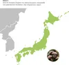 A map of Japan with text describing a product. Náhled obrázku produktu