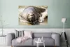 MuchoWow® Poster Tiere - Wasser - Strand 120x80 cm - Bilder Produktbild-Vorschau 5