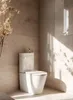 SAT Brevis Stand-WC WC-Kombination mit integriertem Produktbild-Vorschau 8