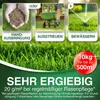 DÜNGEMEISTER Rasendünger für Ihren sattgrünsten Traumrasen Produktbild-Vorschau 6