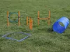 Agility Set für kleine und mittelgroße Hunde, Hundesport Produktbild-Vorschau 4
