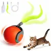 Interaktive Spielzeugkugel für Katzen und kleine Hunde, Produktbild-Vorschau 1