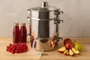 A stainless steel steam juicer is displayed on a wooden surface, surrounded by fresh raspberries, apples, and pears, with two bottles of juice. Produktbild-Vorschau