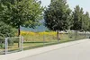 Alberts 642761 Ogrodzenie z podwójnej siatki drucianej, Podgląd zdjęcia produktu 3