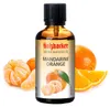 Huile parfumée pour sauna HolzHacker Mandarine-Orange 60 ml Voir les images du produit 1