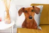 MuchoWow® Zierkissen Sofakissen Wohnzimmer Dekokissen 60x60 Produktbild-Vorschau 6