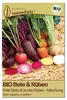 Samenliebe  Rote Bete Samen | Rote Beete - bunt - Produktbild-Vorschau 1