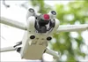 Filtre polarisant CPL pour DJI RC MINI 3 / 3 PRO Voir les images du produit 9