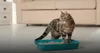 Trixie Katzentoilette Kitty, 27 × 9 × 37 cm Produktbild-Vorschau 8