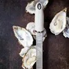 Grattugia ZESTER ACCIAIO INOX grattugia limone formaggio Anteprima dell’immagine prodotto 5