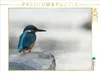 CALVENDO Puzzle Ganz allein 2000 Teile Puzzle quer | 2000 Produktbild-Vorschau 1
