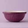 Mason Cash 2002.163 Steingut Rührschüssel 24 cm Produktbild-Vorschau 12