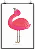 Mr. & Mrs. Panda Bild Flamingo Stolz DIN A4 - Weiß - Produktbild-Vorschau 1