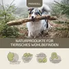 Provicell EM Vital 250 ml | Probiotika Hund | Natürliche Produktbild-Vorschau 5