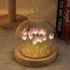 DIY tulipánová noční lampička, 10 kusů růžová, ručně Náhled obrázku produktu 3