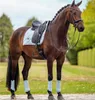 Equestrian Stockholm Dressurgamaschen Ice Blue Mesh Produktbild-Vorschau 7