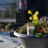 HOFER Grabkerze aus Glas Waldlichtung - 2 Stk. Glas Produktbild-Vorschau 6
