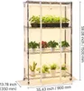 Étagère à plantes SucceBuy avec lampe de culture, 4 niveaux Voir les images du produit 8