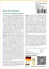 SAFLAX - Baum des Reisenden - Ravenala madagascariensis - 8 Produktbild-Vorschau 3