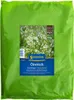 Kiepenkerl Gründüngung Ölrettich Raphanus sativus var. Produktbild-Vorschau 1