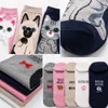 Damen Katzensocken – Bunte Freizeitsocken mit niedlichem Produktbild-Vorschau 4