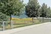 Alberts Doppelstabmattenzaun 6-5-6, Matten 2,50 m, Höhe 83 Produktbild-Vorschau 6