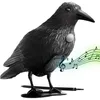 Realistische Vogelabwehr Krähe mit Sound: Produktbild-Vorschau 4