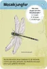 Expedition Natur 50 heimische Insekten & Spinnen Produktbild-Vorschau 3