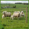 Clôture forestière - Clôture pour gibier - 150/16/10 Vert, Voir les images du produit 6