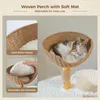 PAWZ Road Kratzbaum 124 cm Naturholz Produktbild-Vorschau 4