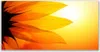 Tulup Leinwand-Bilder 140x70 Wandbild Canvas Kunstdruck Produktbild-Vorschau 1