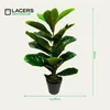 Lacers SMARAGDLINE künstliche Fiddle Fig Pflanze 60cm - 2er Produktbild-Vorschau 5