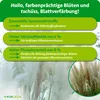 Purgrün Pampasgras-Dünger 1 Liter, Produktbild-Vorschau 3