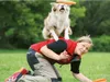 Trixie Dog Activity Dog Disc, bissfest ø 19 cm Produktbild-Vorschau 9
