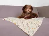 TRIXIE Decke Lingo, Softfleece, 75 × 50 cm, weiß/beige Produktbild-Vorschau 4