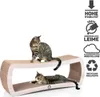 JUMBO Galaxy XXL | griffoir canadien pour chat | bois Voir les images du produit 2