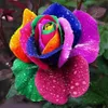 Bunte Regenbogen Blumensamen Garten Pflanzen Multi-color Produktbild-Vorschau 2