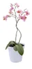 elho green basics Orchidee 15cm - transparent Produktbild-Vorschau 6