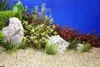 Aquarium Bodengrund Quarzkies Bernstein 1-2 mm, 24 kg, für Produktbild-Vorschau 6