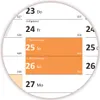 Rainbow Premium Classic2 Wandkalender / Wandplaner DIN A0 Produktbild-Vorschau 3