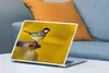 MuchoWow® Laptop Aufkleber Sticker Cover Kohlmeise - Vogel Produktbild-Vorschau 4