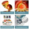 SCIENCE CAN DIE ERDE, 3D Modell, Globus, Lernspielzeug, ab Produktbild-Vorschau 2