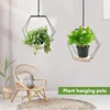 Hängende Pflanzen Hänger 2 Stück, 23 cm, Holzsockel, Produktbild-Vorschau 6