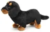 Teckel en peluche 30 cm ECO-FRIENDLY Voir les images du produit 3