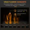 HOMCOM Cheminée bioéthanol sur pieds avec réservoir 1,2 L, Voir les images du produit 3