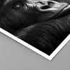 Poster - Poster ohne Rahmen - Affe Gorilla Porträt - 50x40 Produktbild-Vorschau 2