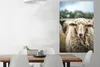 MuchoWow® Poster Porträt eines Schafes 80x120 cm - Produktbild-Vorschau 3