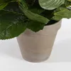 Sztuczna roślina Mica Decorations Hydrangea - H45 x Ø45 cm Podgląd zdjęcia produktu 4