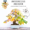 Semi di bonsai straordinari con un alto tasso di Anteprima dell’immagine prodotto 2