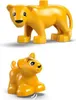 10442 - LEGO DUPLO - Familles d'animaux sauvages : Voir les images du produit 5